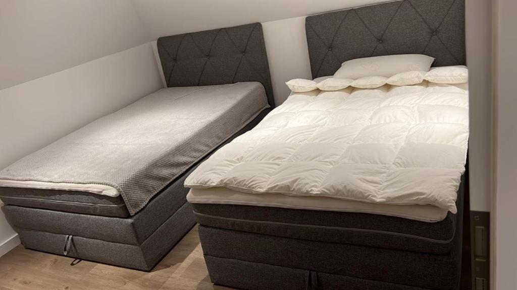Ferienwohnung Nella Paderborn Eksteriør bilde